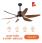 Quạt Trần Nanoco NCF5462-PL 6 Cánh Vân Gỗ 